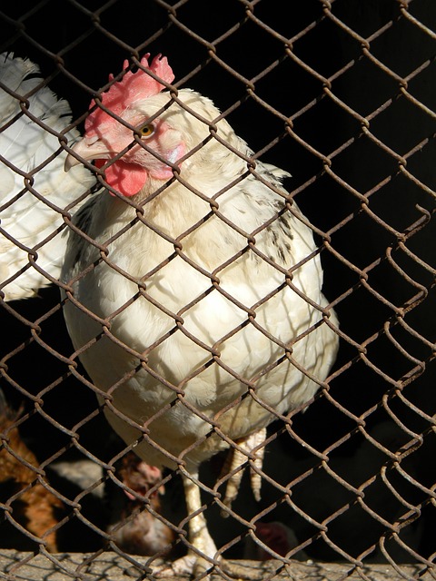 那也是一种 那也是一种