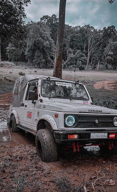 这不仅仅是 这不仅仅是