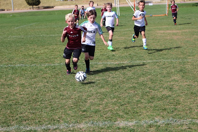 我们看到的 我们看到的