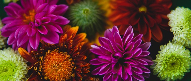 中的一大胜 中的一大胜