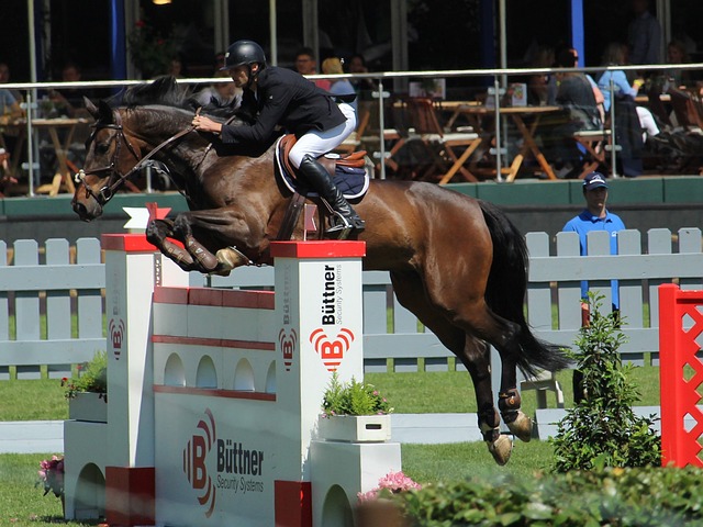 还涵盖了教 还涵盖了教