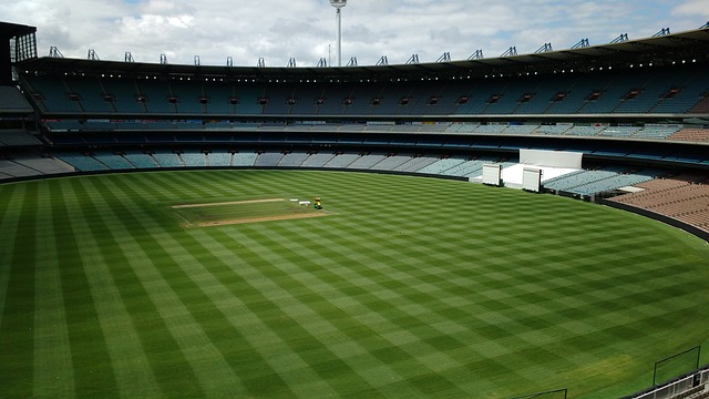 南方霸主 南方霸主