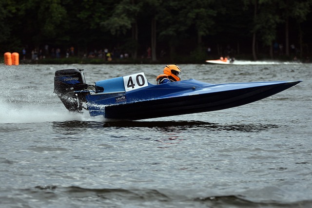 一决策或许 一决策或许