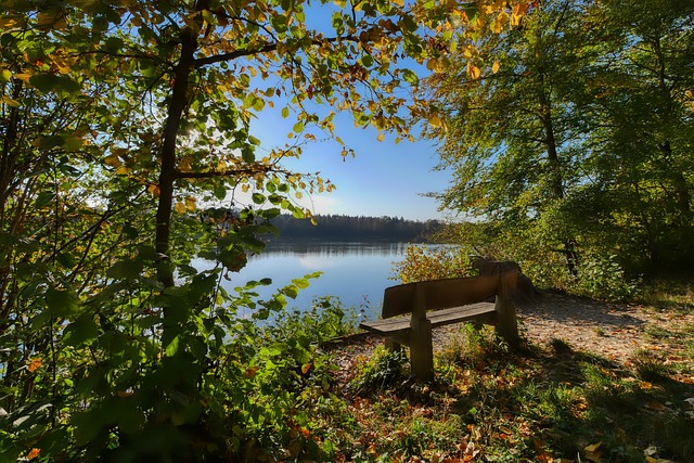提前晋级欧 提前晋级欧