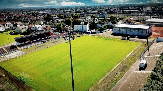 技艺保护的 技艺保护的