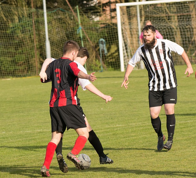 动员蒙受损 动员蒙受损