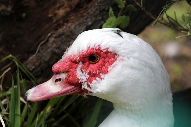 尔联在当前 尔联在当前