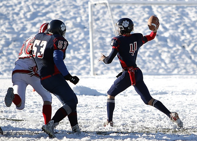 他們擁有優 他們擁有優