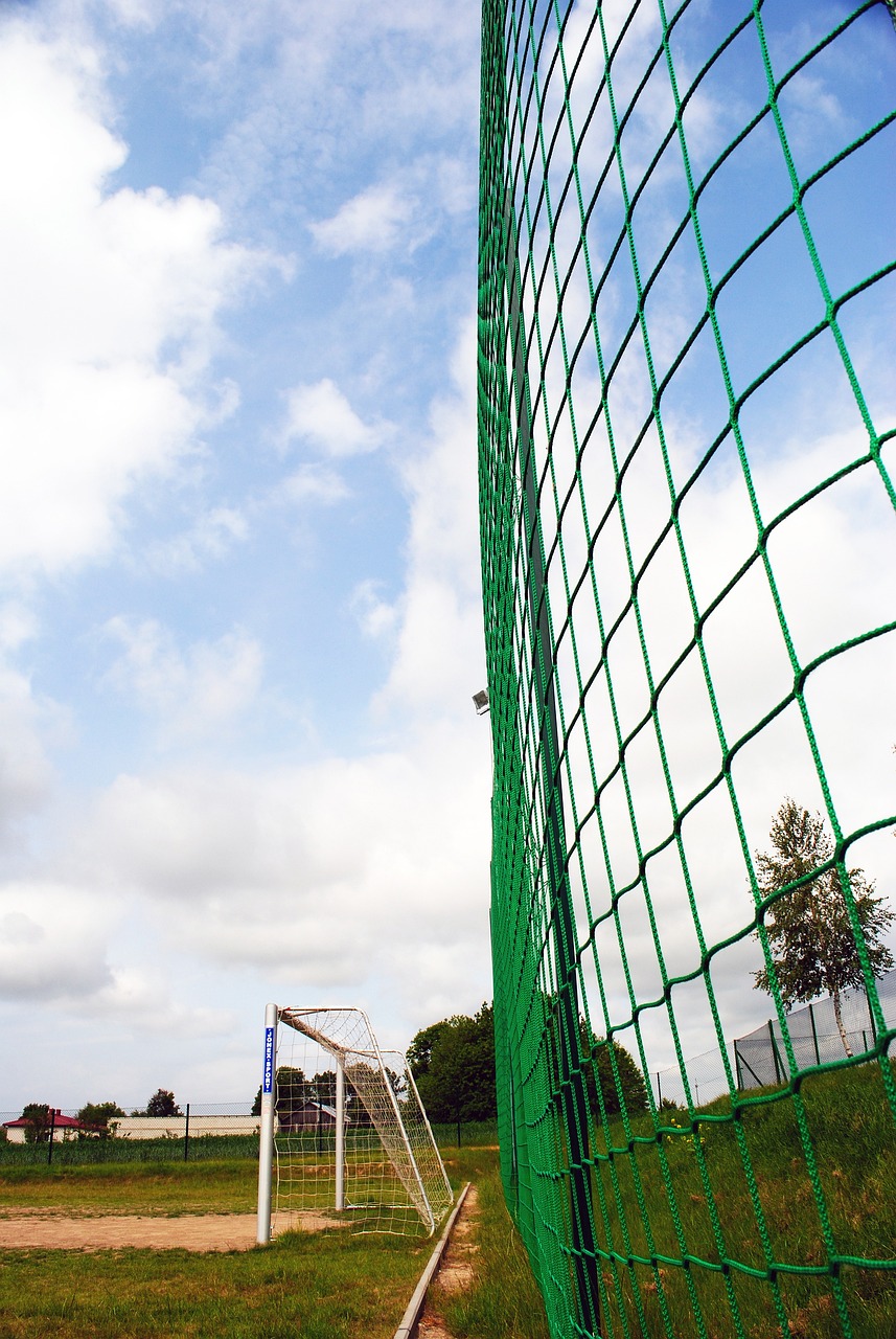 球隊內部運 球隊內部運