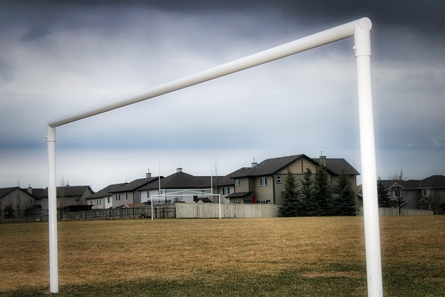 龙头王炸合体大获全胜，36岁马龙逆生长独拿两分，王楚钦笑开花.